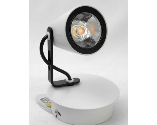 Спот Lussole Loft LSN-4101-01