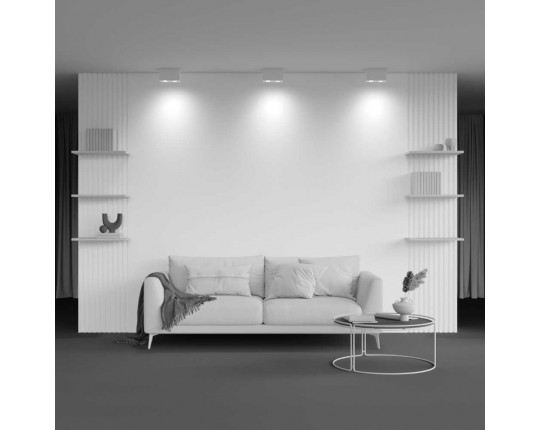 Потолочный светильник Maytoni Technical Atom C017CL-02W
