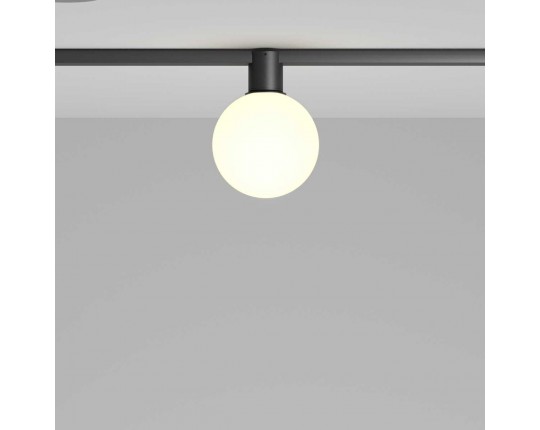 Трековый светильник Maytoni Technical TR171-1-5W3K-WB