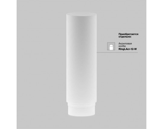 Трековый светильник Maytoni Technical Focus Led TR032-2-12W4K-M-BBS