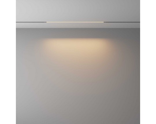 Трековый светильник Maytoni Technical EXILITY X Basis TR240-2-12W3K-B