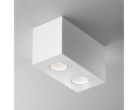 Потолочный светильник Maytoni Technical Atom C017CL-02W