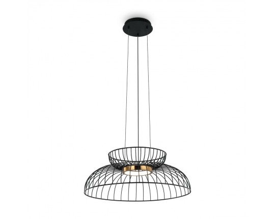 Подвесной светодиодный светильник Freya Citrus FR5398PL-L6B