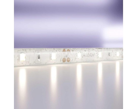 Светодиодная лента Standard Maytoni Led Strip 20005