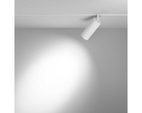 Трековый светодиодный светильник Maytoni Technical Focus LED TR032-2-20W3K-S-W