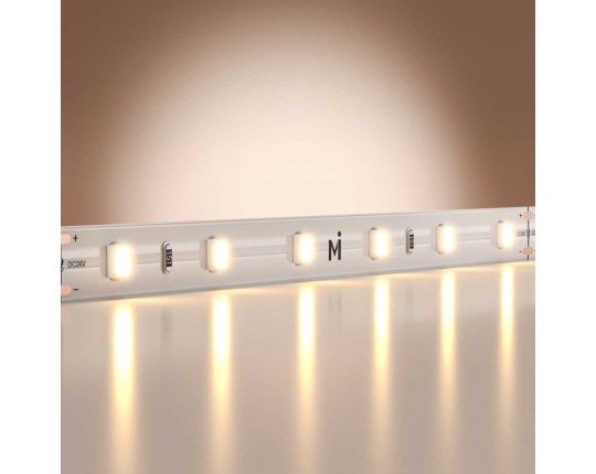 Светодиодная лента Maytoni Led Strip 5м 201165