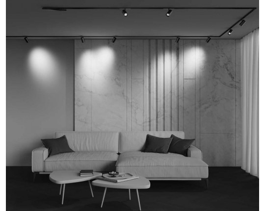 Трековый светильник Maytoni Technical EXILITY X Focus Led TR243-12W3K-B