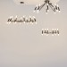 Подвесная люстра Maytoni Vigo MOD031PL-24B