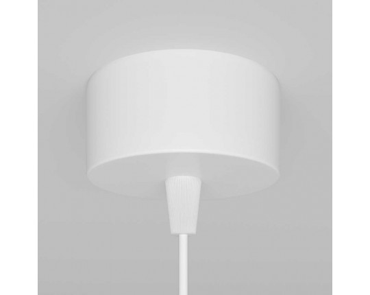 Подвесной светильник Maytoni Technical Focus P075PL-01W