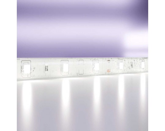 Светодиодная влагозащищенная лента Maytoni Technical 4,8W/m 60LED/m 2835SMD холодный белый 5M 10107