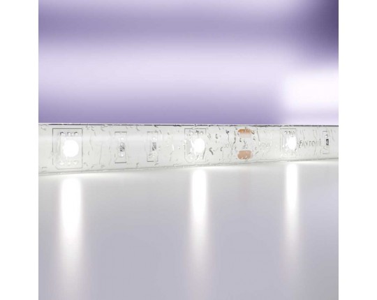 Светодиодная влагозащищенная лента Maytoni Technical 7,2W/m 30LED/m 5050SMD холодный белый 5M 10125