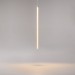 Подвесной светильник Maytoni Ray P022PL-L20W3K