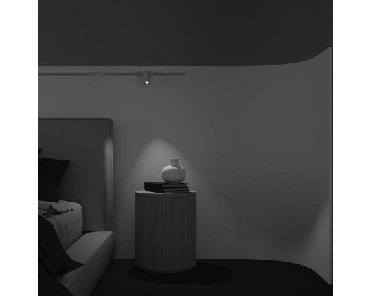 Трековый светодиодный светильник Maytoni Technical Radity Focus LED TR103-1-12W4K-M-W