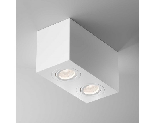 Потолочный светильник Maytoni Technical Atom C017CL-02W