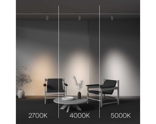 Трековый светодиодный светильник Maytoni Technical Focus Led TR197-3-20WCCT-M-W