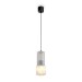 Подвесной светильник Freya FR5599PL-01CFL