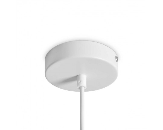 Подвесной светильник Freya Modern FR5530PL-L10W