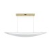 Подвесной светодиодный светильник Freya Cloud FR5441PL-L40G