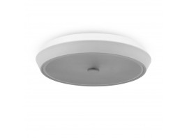 Потолочный светодиодный светильник Freya Cells FR10012CL-L24W