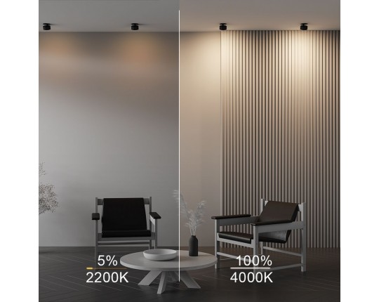 Встраиваемый светодиодный спот Maytoni Technical Onda DL024-12W-DTW-B