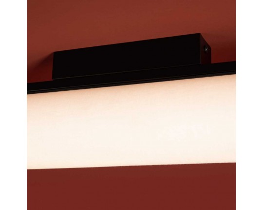 Потолочный светильник Freya Modern Even FR5625CL-L20B