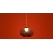 Подвесной светильник Freya Modern Mote FR5601PL-01GR
