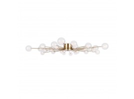 Потолочная люстра Freya Celebrity FR5242CL-24BS1