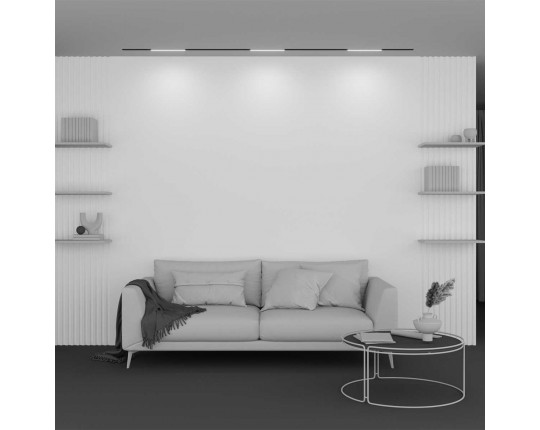 Трековый светильник Maytoni Technical Basis TR030-2-12W2.7K-B