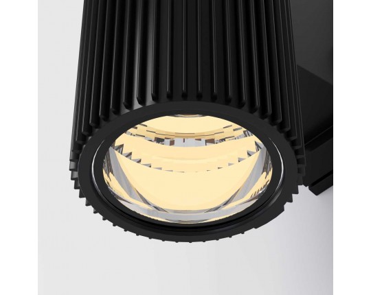 Настенный светильник Maytoni Outdoor O419WL-02B
