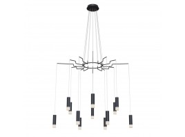 Подвесная люстра Maytoni Davida MOD035PL-12B