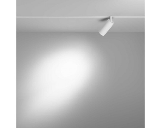 Трековый светильник Maytoni Technical TR032-4-5WTW-M-DD2-W