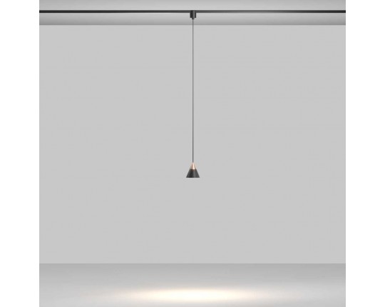 Трековый подвесной светильник Maytoni Technical TR166-1-7W3K-M-B