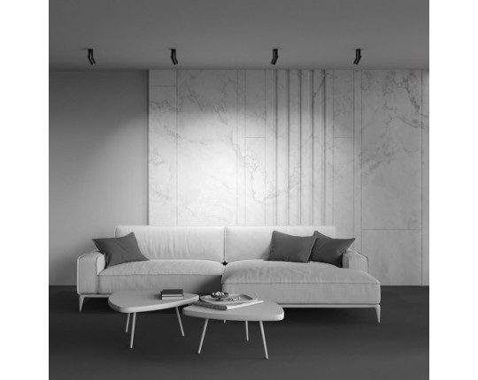 Потолочный светодиодный светильник Maytoni Technical Dafne C027CL-L10B4K