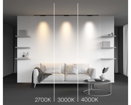Трековый светильник Maytoni Technical Points TR193-1-10W3K-M-B