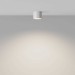 Потолочный светильник Maytoni Technical Glam C096L-GX53-WBS