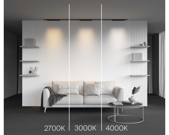 Трековый светильник Maytoni Technical Points TR193-1-20W2.7K-M-B