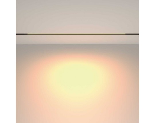 Трековый светильник Maytoni Technical EXILITY Basis TR231-2-15W3K-B