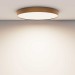 Потолочный светодиодный светильник Maytoni Zon C032CL-90W4K-RD-MG