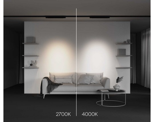 Трековый светодиодный светильник Maytoni Technical Points TR195-3-20W2.7K-M-B