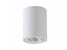 Потолочный светильник Crystal Lux CLT 410C1 WH