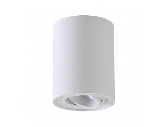 Потолочный светильник Crystal Lux CLT 410C1 WH
