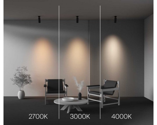 Потолочный светильник Maytoni Technical Ceiling FOCUS LED C055CL-L20W2.7-3-4K-M-B