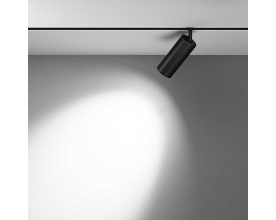 Трековый светодиодный светильник Maytoni Technical Focus Led TR032-2-20W4K-M-B