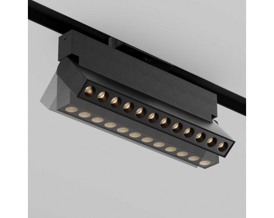 Трековый светильник Maytoni Technical TR224-1-12WCCT-M-B