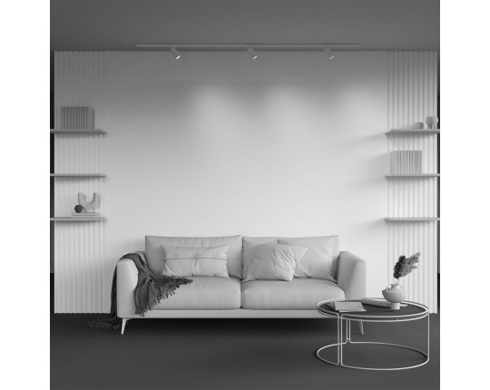 Трековый светильник Maytoni Technical Unity Calipso TR218-1-GU10-W