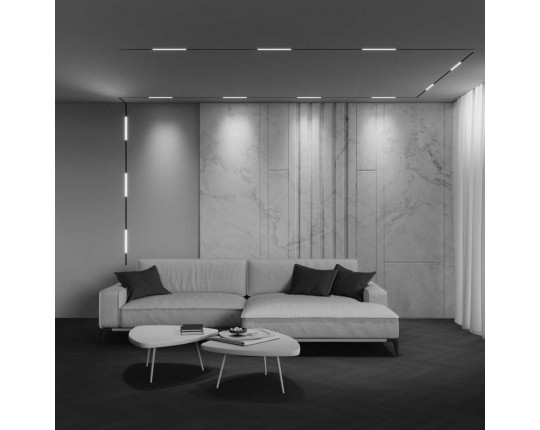 Трековый светильник Maytoni Technical EXILITY X Basis TR240-2-6W4K-B