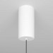 Подвесной светильник Maytoni Ray P022PL-L20W3K