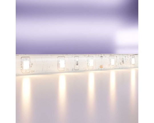 Светодиодная влагозащищенная лента Maytoni Technical 4,8W/m 60LED/m 2835SMD теплый белый 5M 10139