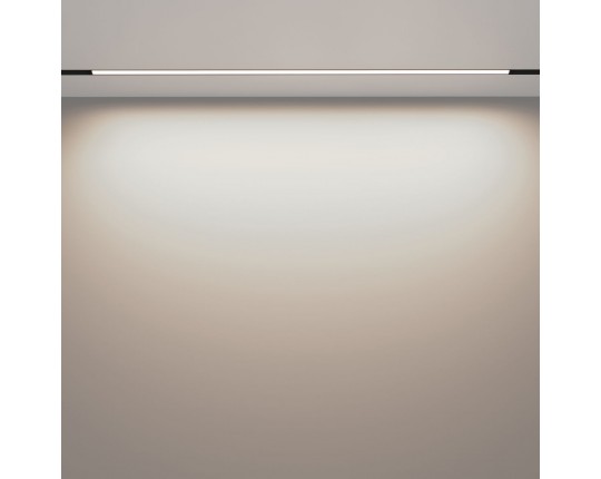 Трековый светодиодный светильник Maytoni Technical Exility Basis TR030-2-30W4K-B