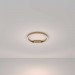 Потолочный светодиодный светильник Maytoni Rim MOD058CL-L25BSK